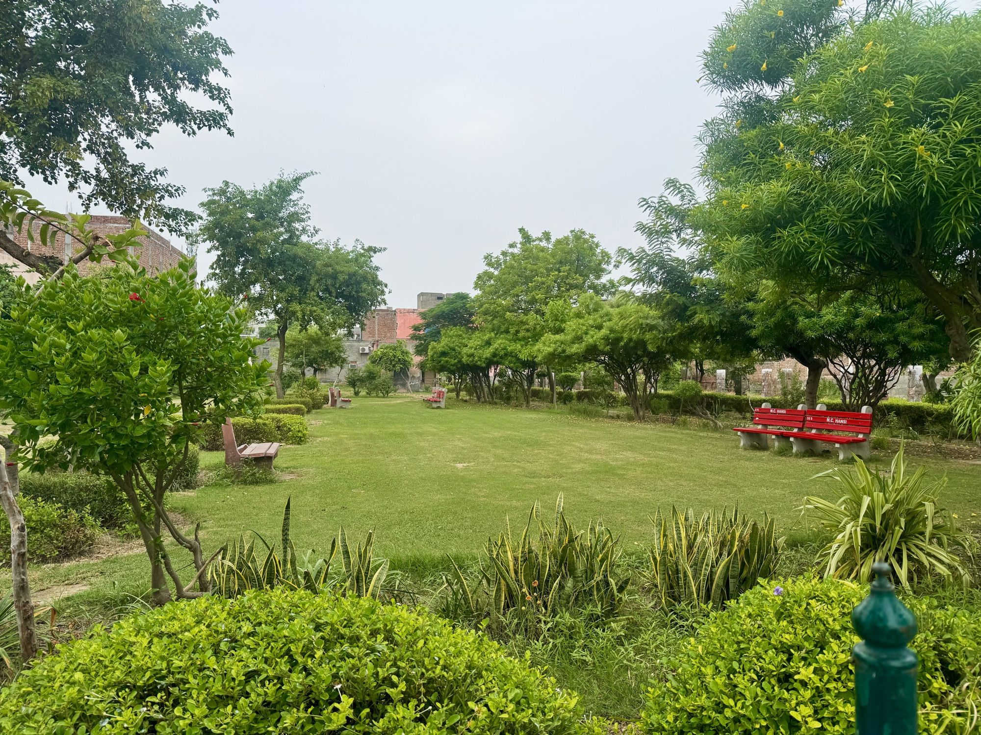 The lawn at Hansi Gita Bhawan on an overcast morning, hedges in front, trees and two red benches beyond