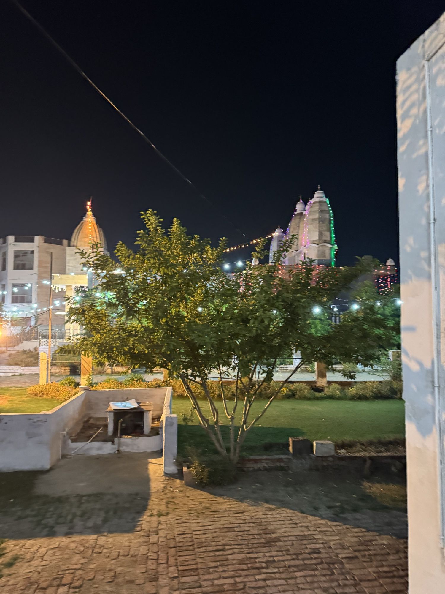 The temple shikharas at Hansi Gita Bhawan lit with strings of lights at night, seen across the garden and a young tree